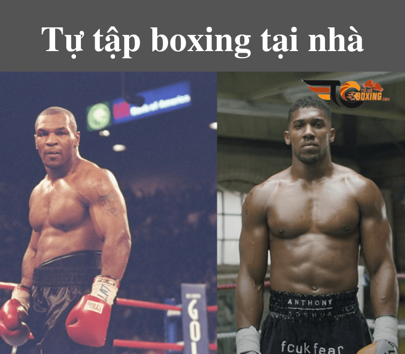 tap boxing tai nha 7a536b9c86474fc69046b0b49d4e0a3b 1024x1024 1