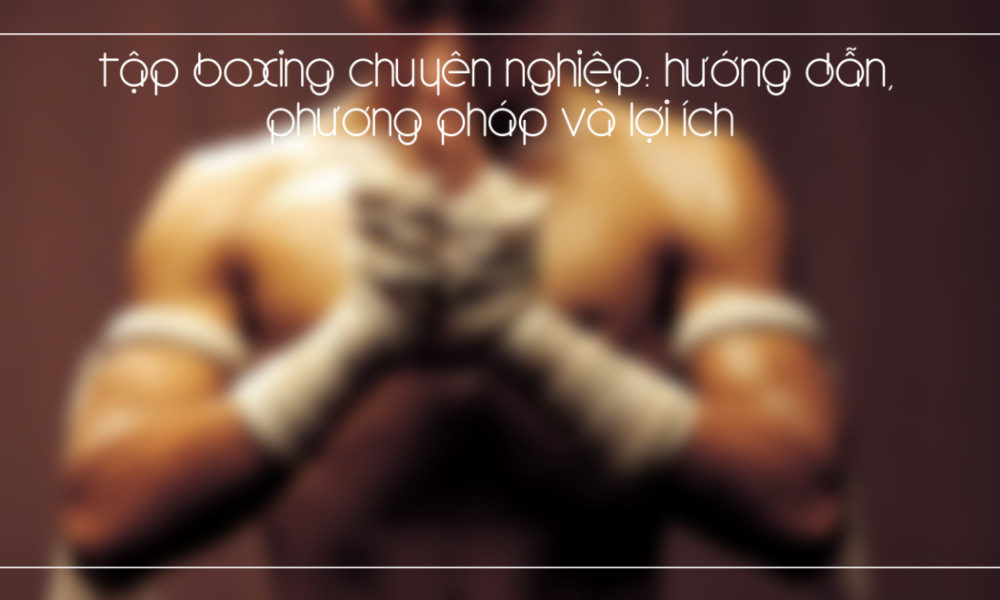 tap boxing chuyen nghiep huong dan phuong phap va loi ich