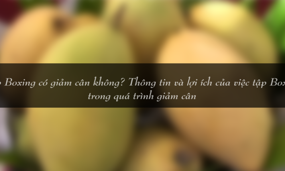 tap boxing co giam can khong thong tin va loi ich cua viec tap boxing trong qua trinh giam can 1