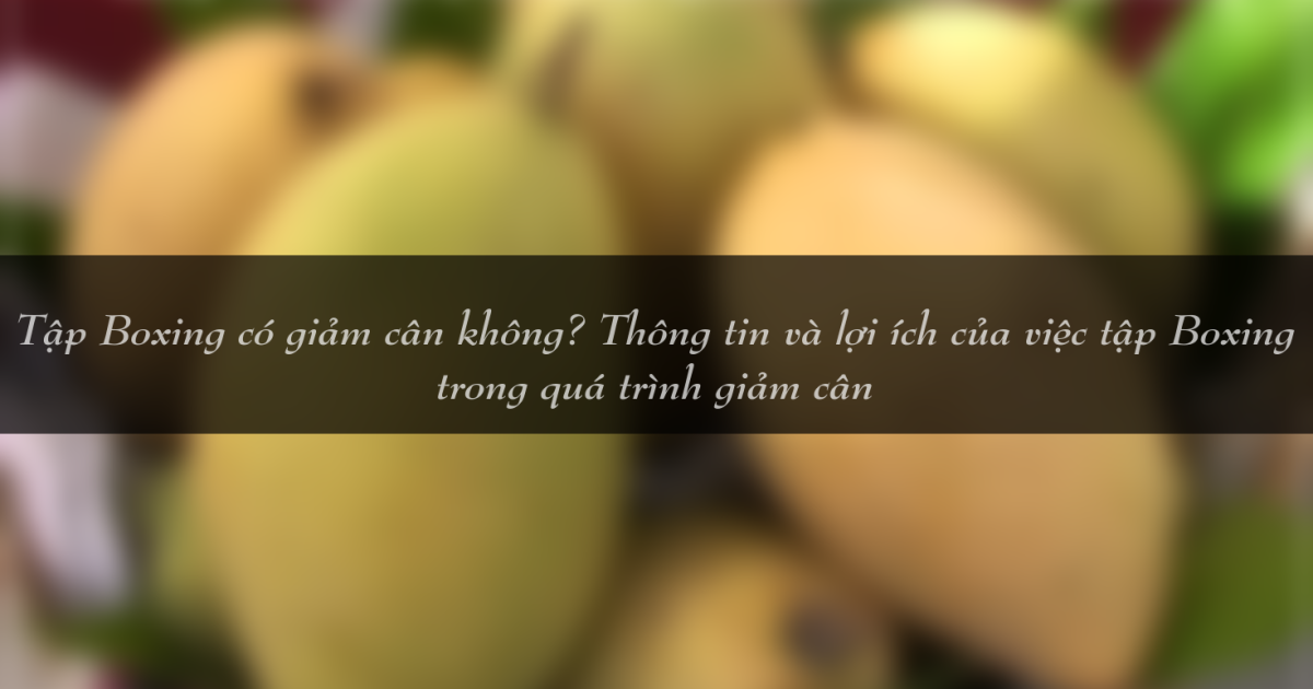 tap boxing co giam can khong thong tin va loi ich cua viec tap boxing trong qua trinh giam can 1