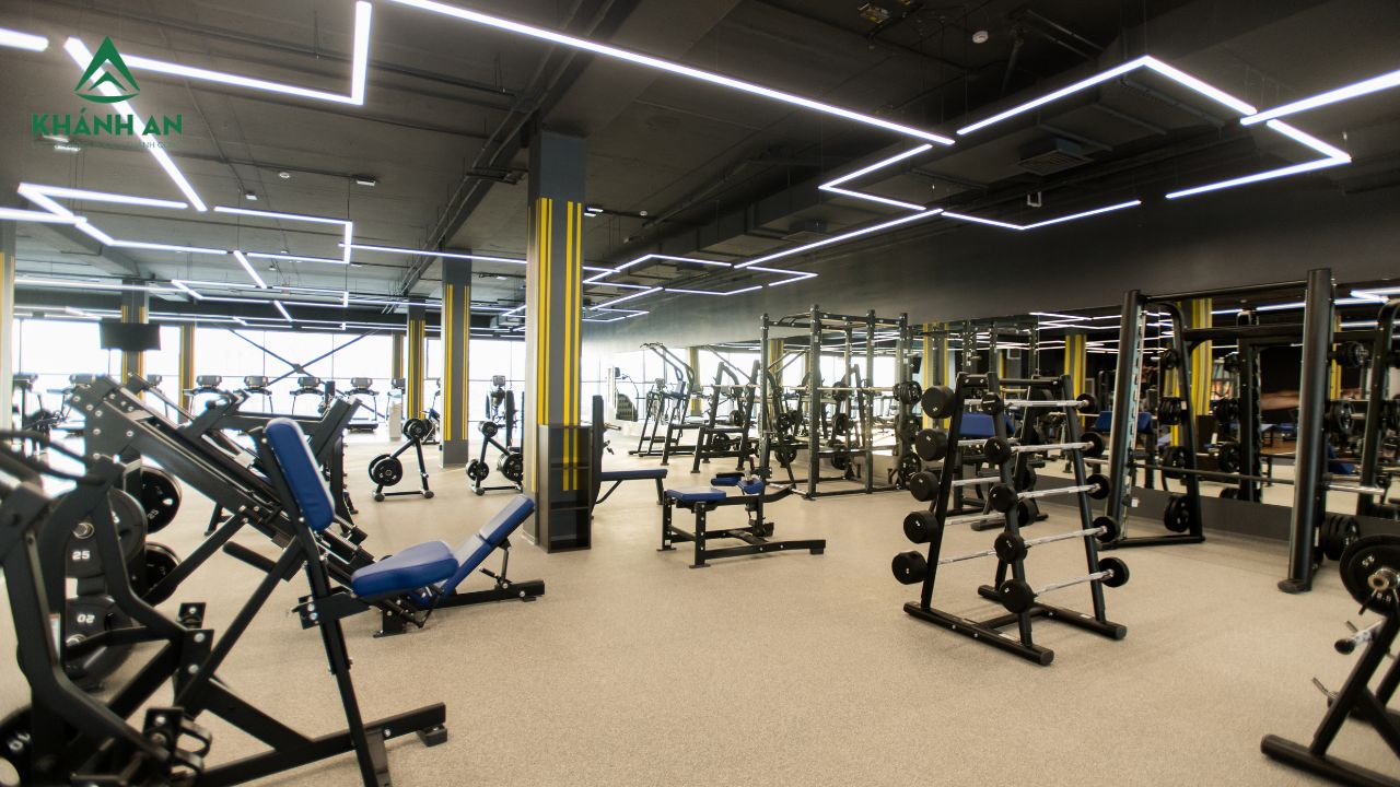 Hồ sơ và thủ tục mở phòng gym, phòng tập thể hình